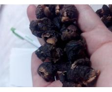 Мыльные орехи (Sapindus Trifoliatus) 200 гр Индия