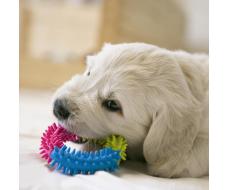 Игрушка жевательная для собак "Кусочек счастья", 9,5 см, микс цветов