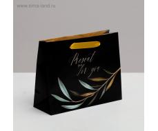 Пакет ламинированный горизонтальный Present just for you, 22 × 17.5 × 8 см