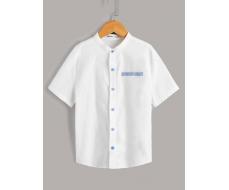 Рубашка на пуговицах с контрастной вставкой SHEIN Boys АРТИКУЛ: sk2201054637446191