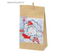 Пакет подарочный без ручек с декором «Сказки о зиме», 16 × 28 см