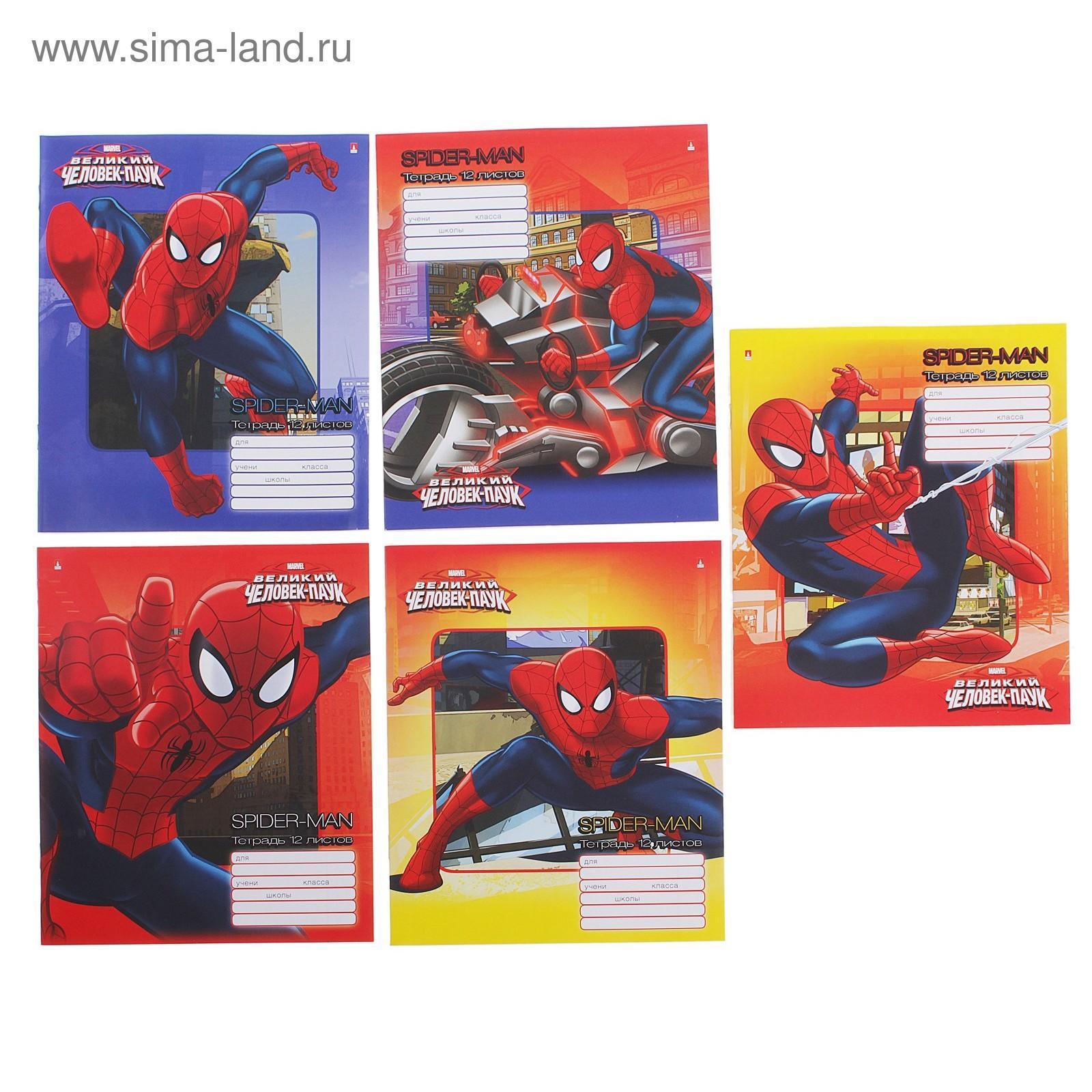 Тетрадь 12 листов клетка Marvel "Человек-паук", бумажная обложка, 5 видов МИКС