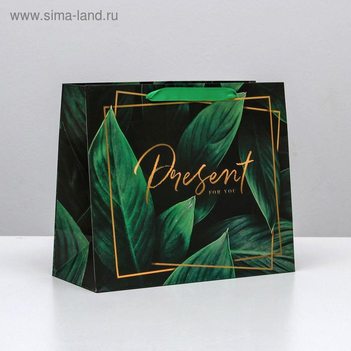 Пакет ламинированный горизонтальный Present for you, ML 27 × 23 × 11,5 см
