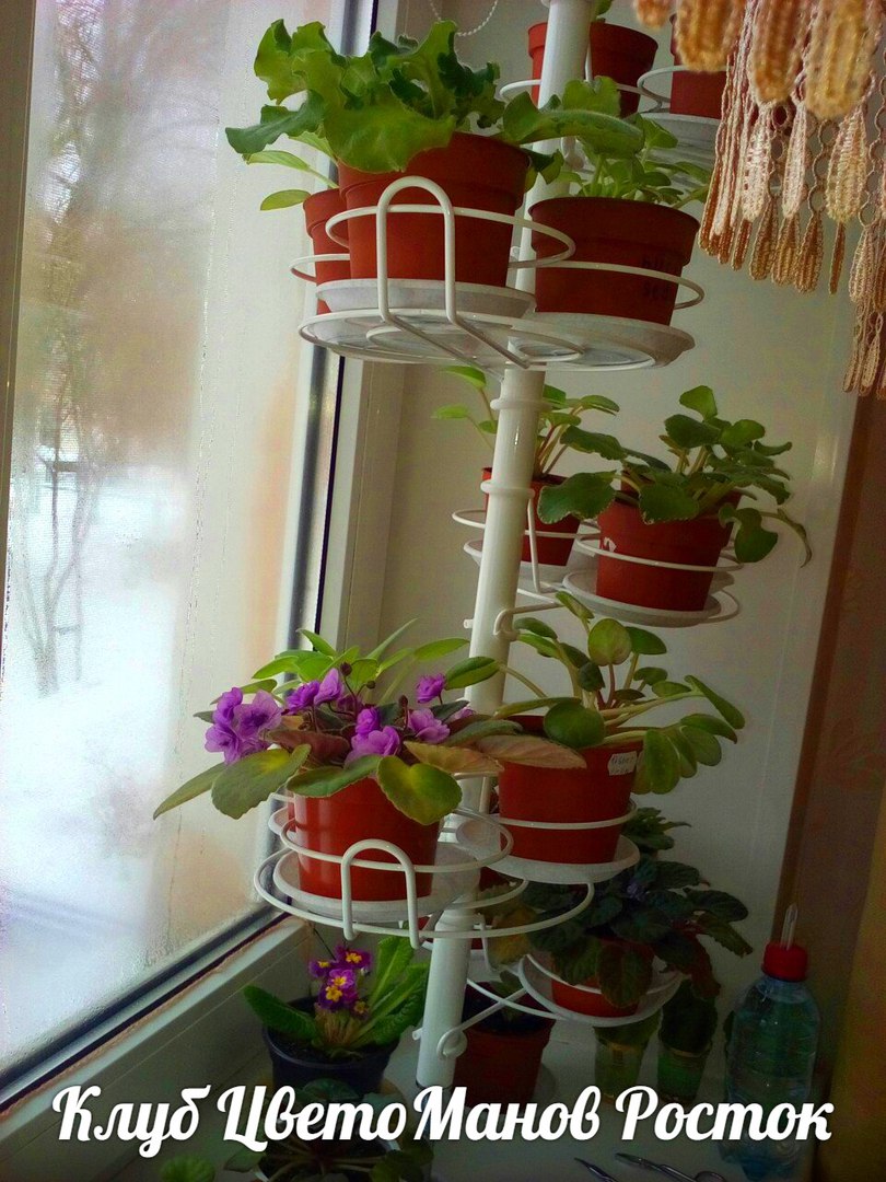 Распорная подставка на 5 тройных держателей КИПАРИС (для маленьких растений) с верним откосом под наклоном