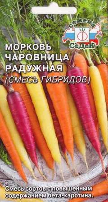 Морковь Чаровница Радужная (Код: 84940)