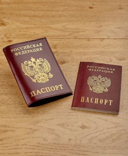 ПРИСТРОЙ!!!!   Бордовый Обложка на паспорт из натуральной кожи Гладкий с золотым тиснением