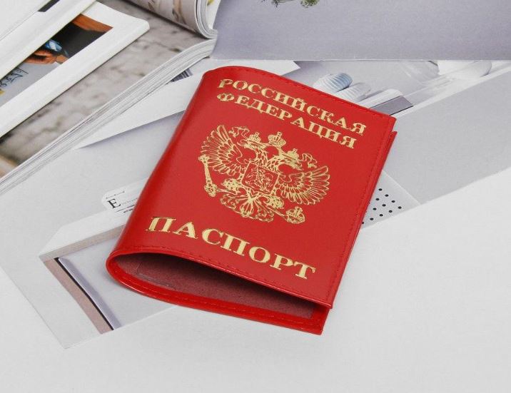 ПРИСТРОЙ!!!!   Красный Обложка на паспорт из натуральной кожи Гладкий с золотым тиснением