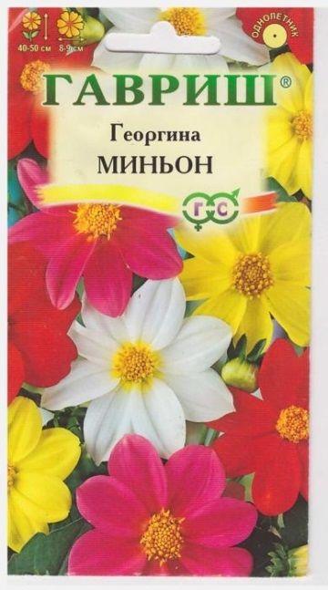 Георгина Миньон Смесь (Код: 9361)