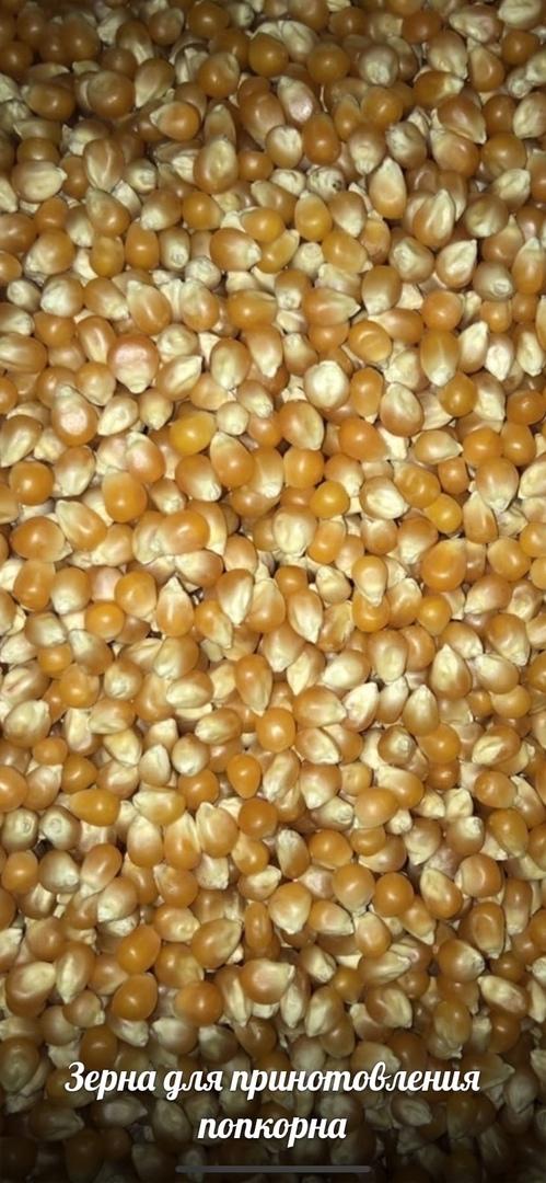 Зерна кукурузы для попкорна 1 кг